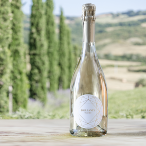 Tuscan White sparkling wine Brilliante brut | Tuscany | Vineyard