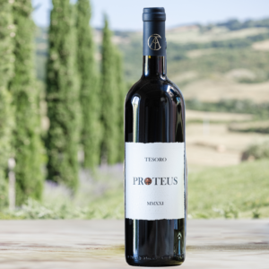 Organic red wine Proteus | Podere Tesoro | Vineyard