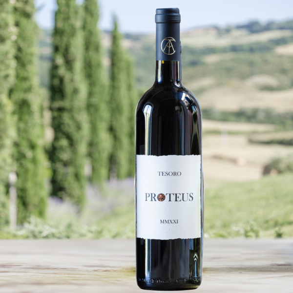 Organic red wine Proteus | Podere Tesoro | Vineyard