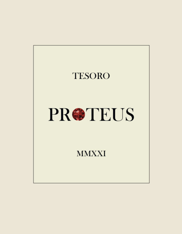 Organic red wine Proteus | Podere Tesoro | Vineyard